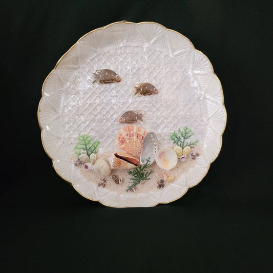 Shell Souvenir Art Shadow Box/ Vintage Kitschy Seashell Decor/ Mid Century Retro Shell Diorama